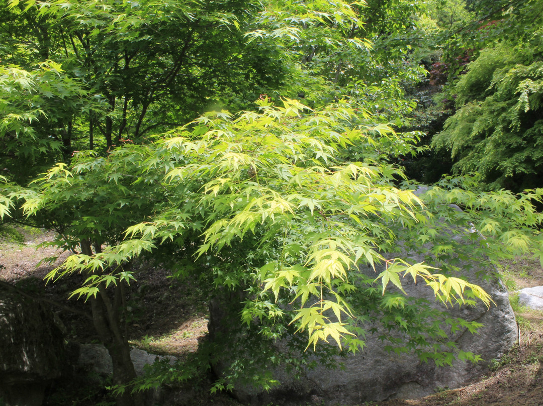 Kankyo Geijutsu no Mori-唐津市必去景点