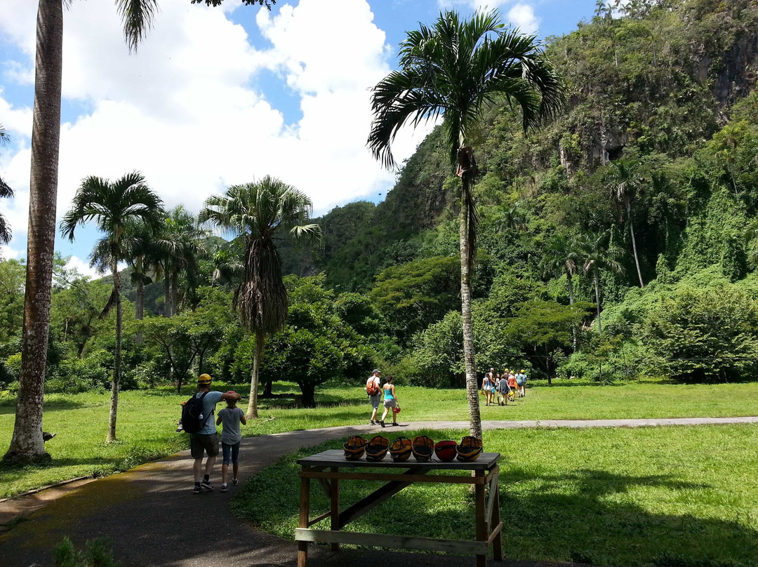 Taxi From Vinales-维纳勒斯必去景点