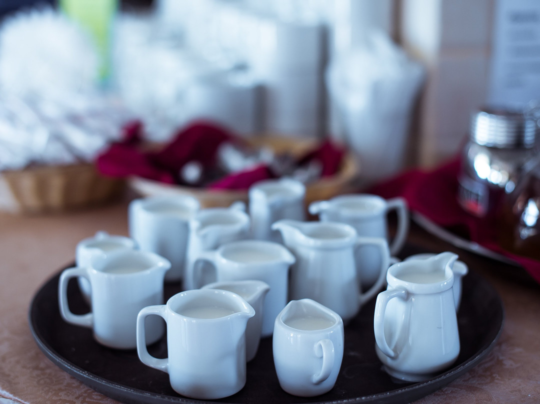 Donna Rosa Hotel主图