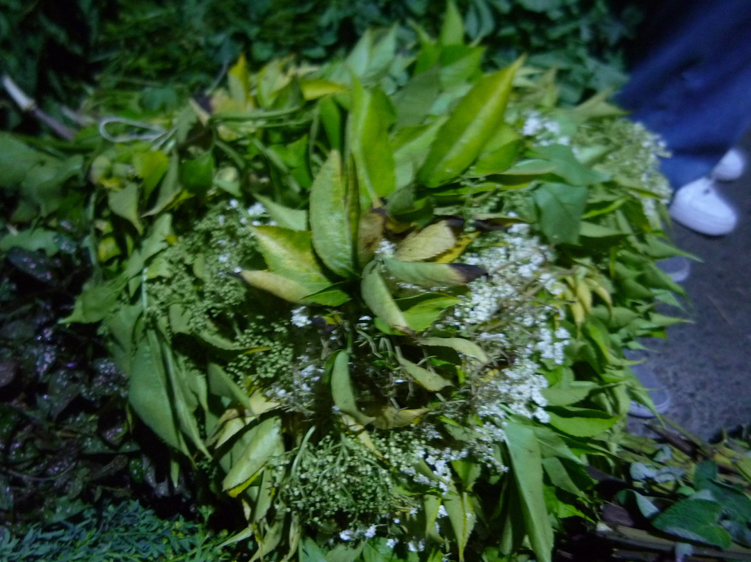 Plaza Distrital De Mercado Samper Mendoza-波哥大必去景点