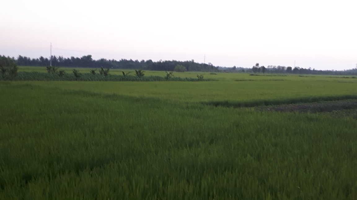 Suonsia Homestay-官方