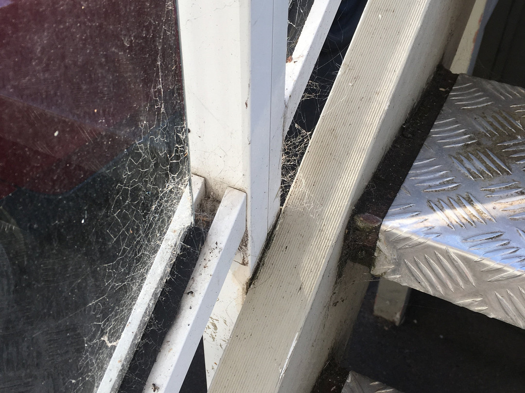 Redwood Manor Motel Apartments主图