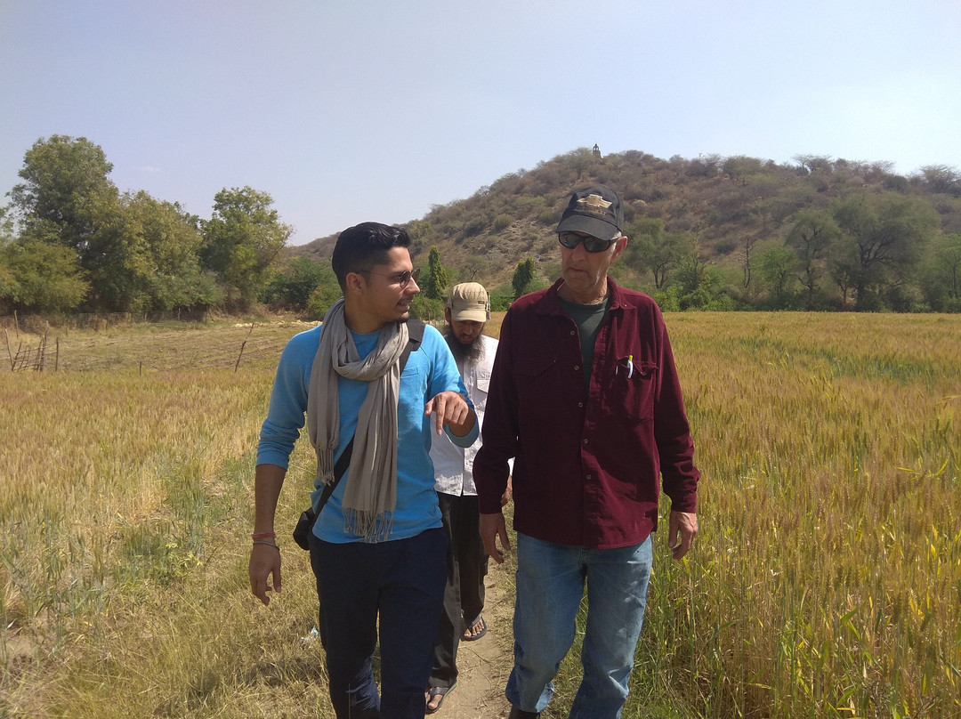 Sojourn Indica-Pali必去景点