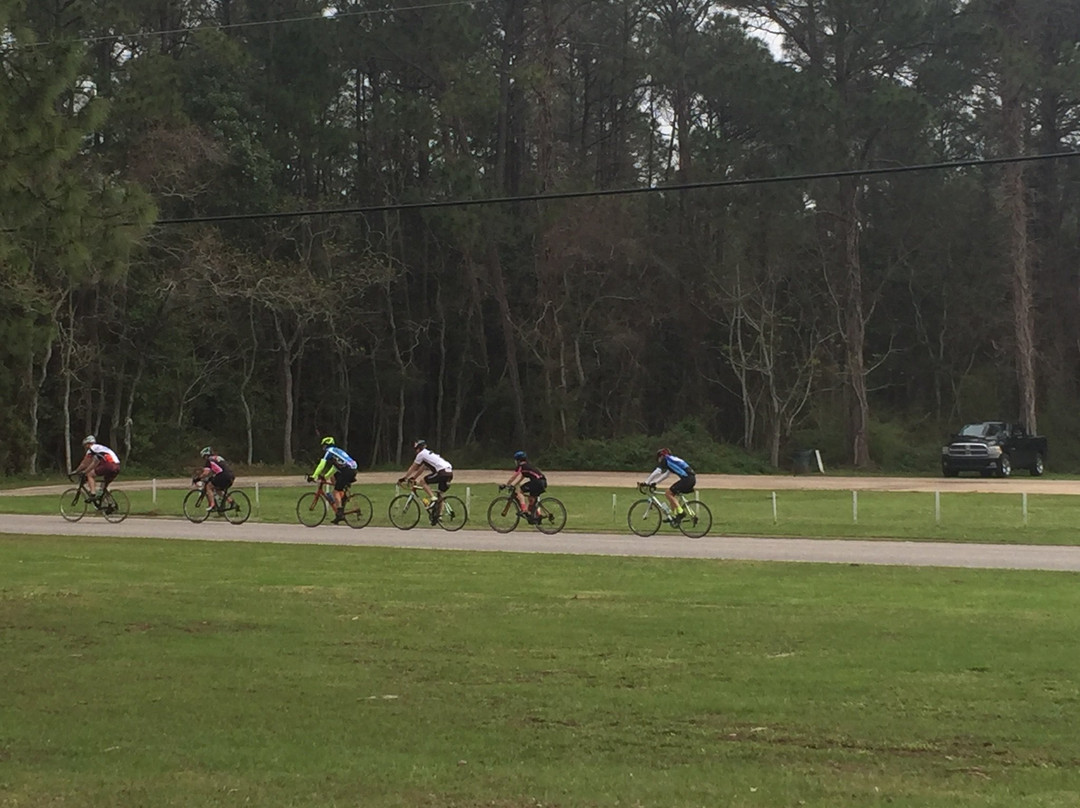 Alabama Eastern Shore Trail-费尔霍普必去景点