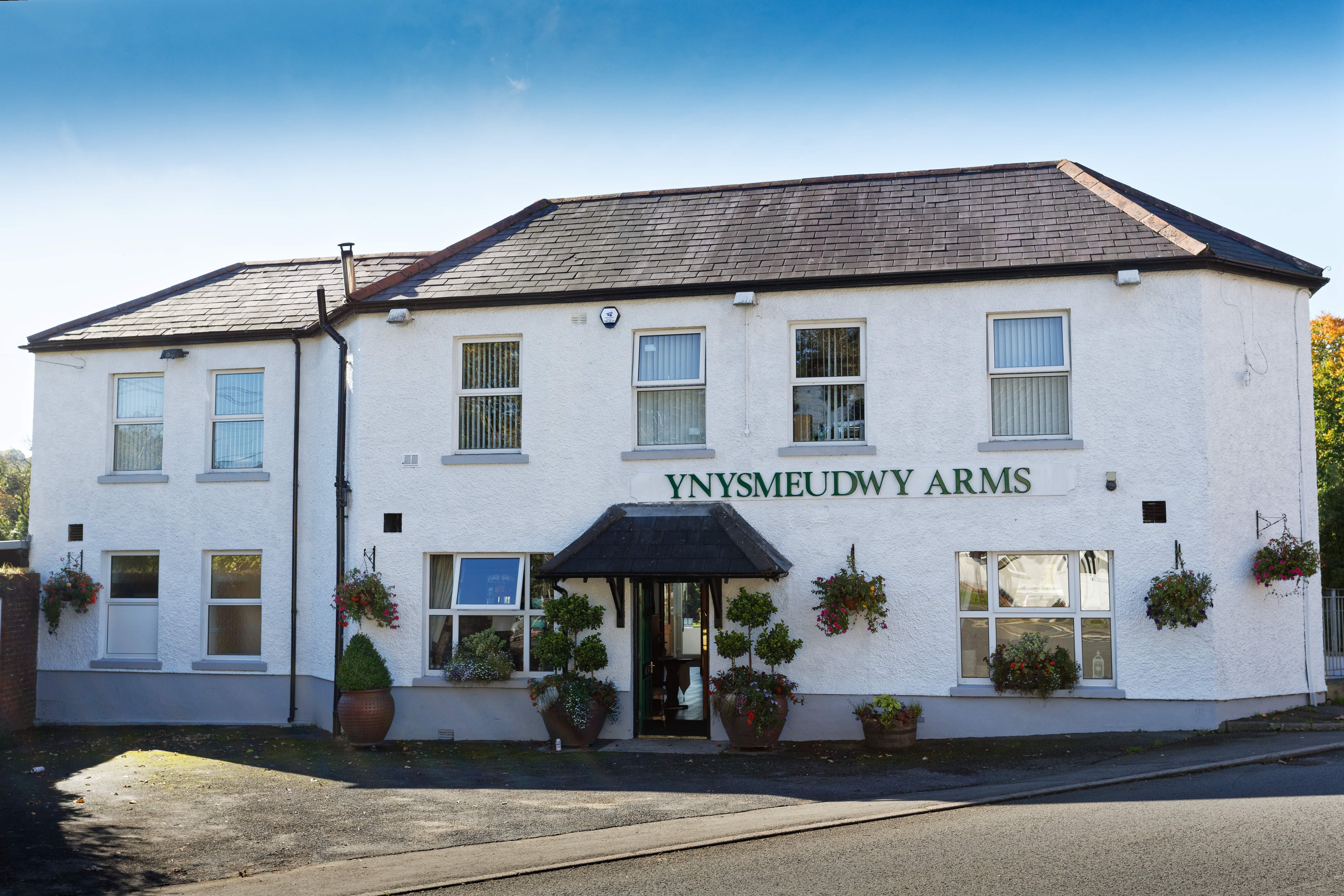 The Ynysmeudwy Arms-官方