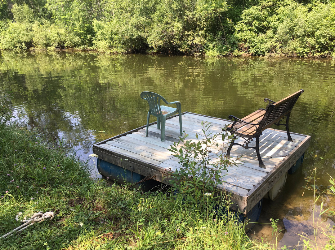Wild Turkey Guest House