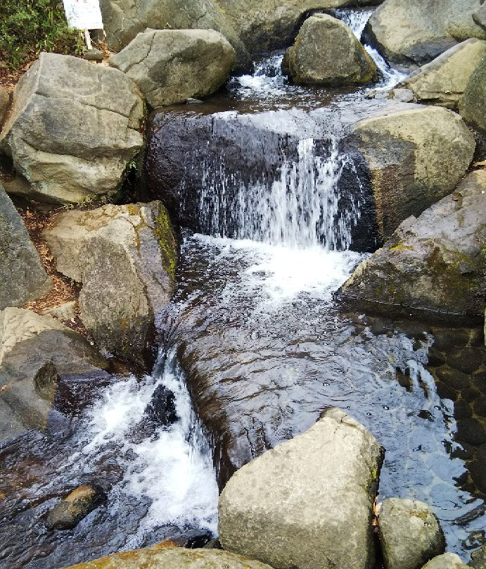 Sanshinomori Park-杉并区必去景点