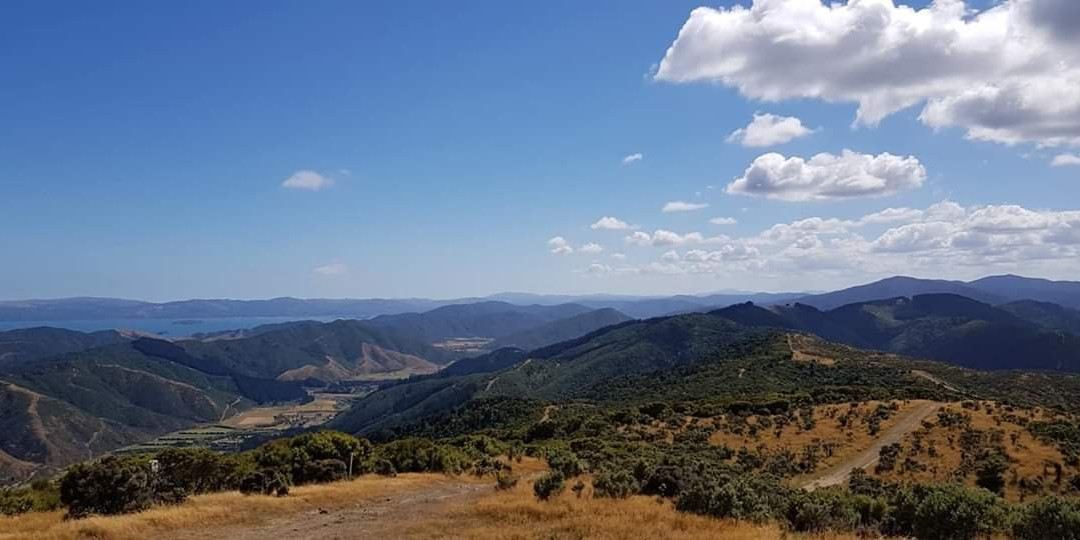 Wellington Adventures - Day Trip-惠灵顿必去景点