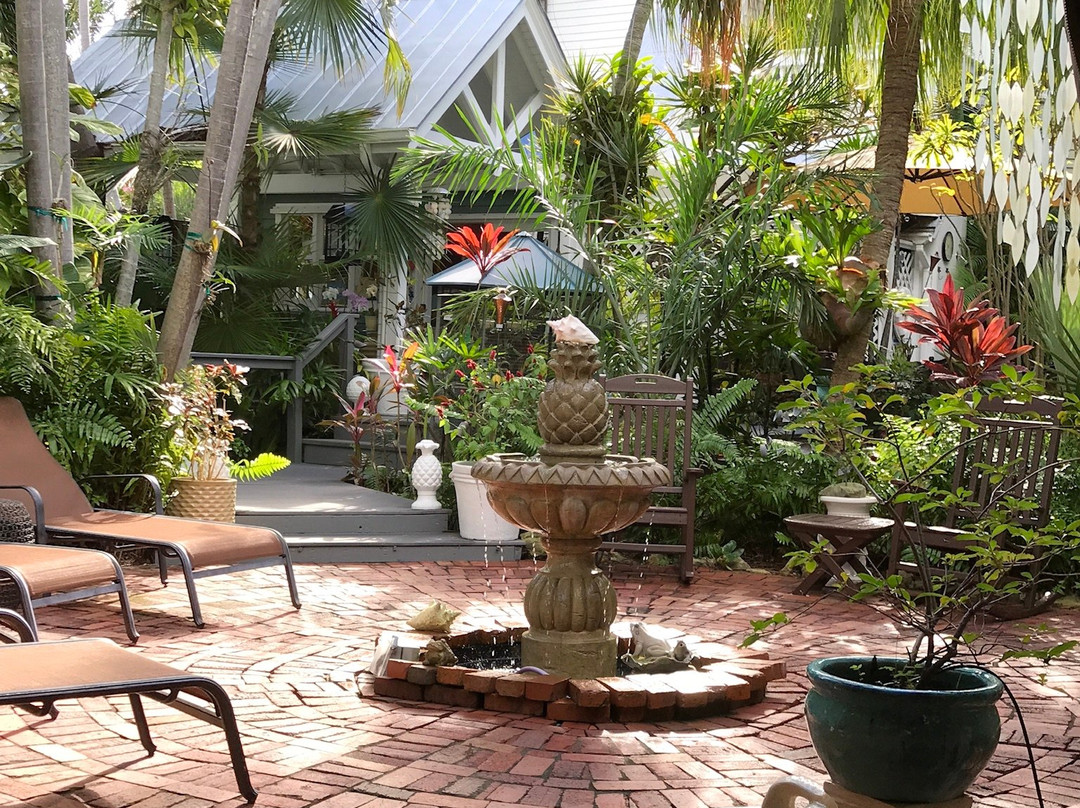 The Mermaid & The Alligator主图