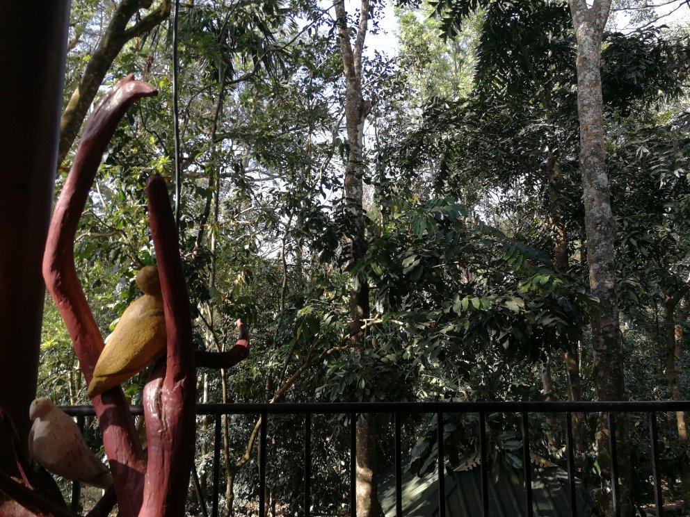Sumilayam Jungle View Homestay-官方