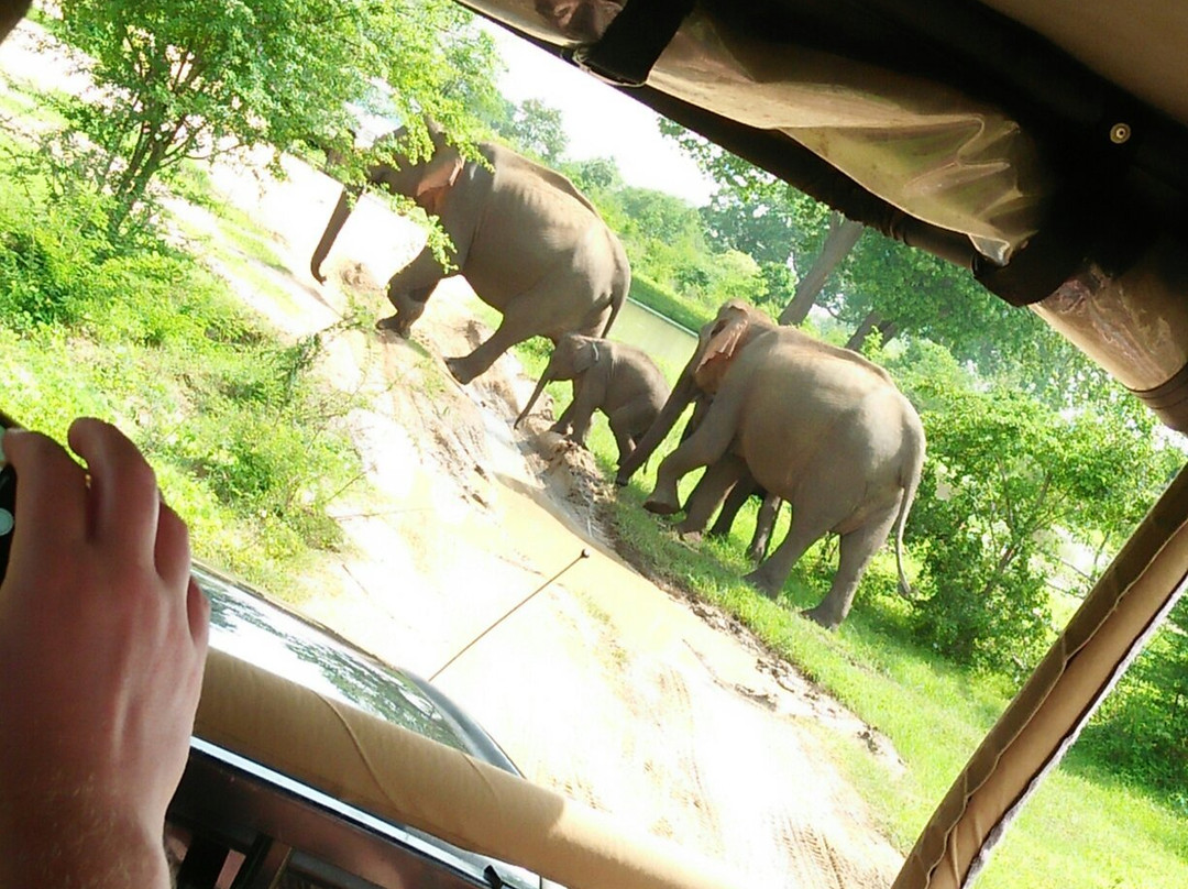 Onara Tours-加勒必去景点