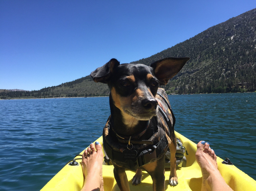 Mammoth Kayaks & Paddleboards-马姆莫斯湖必去景点