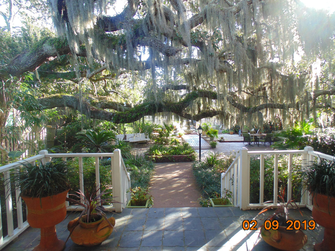 泰碧岛住宿加早餐酒店主图