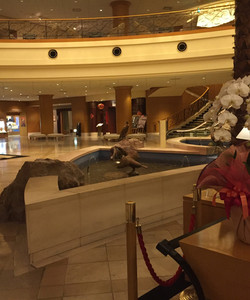 岐阜宫古酒店酒店图片