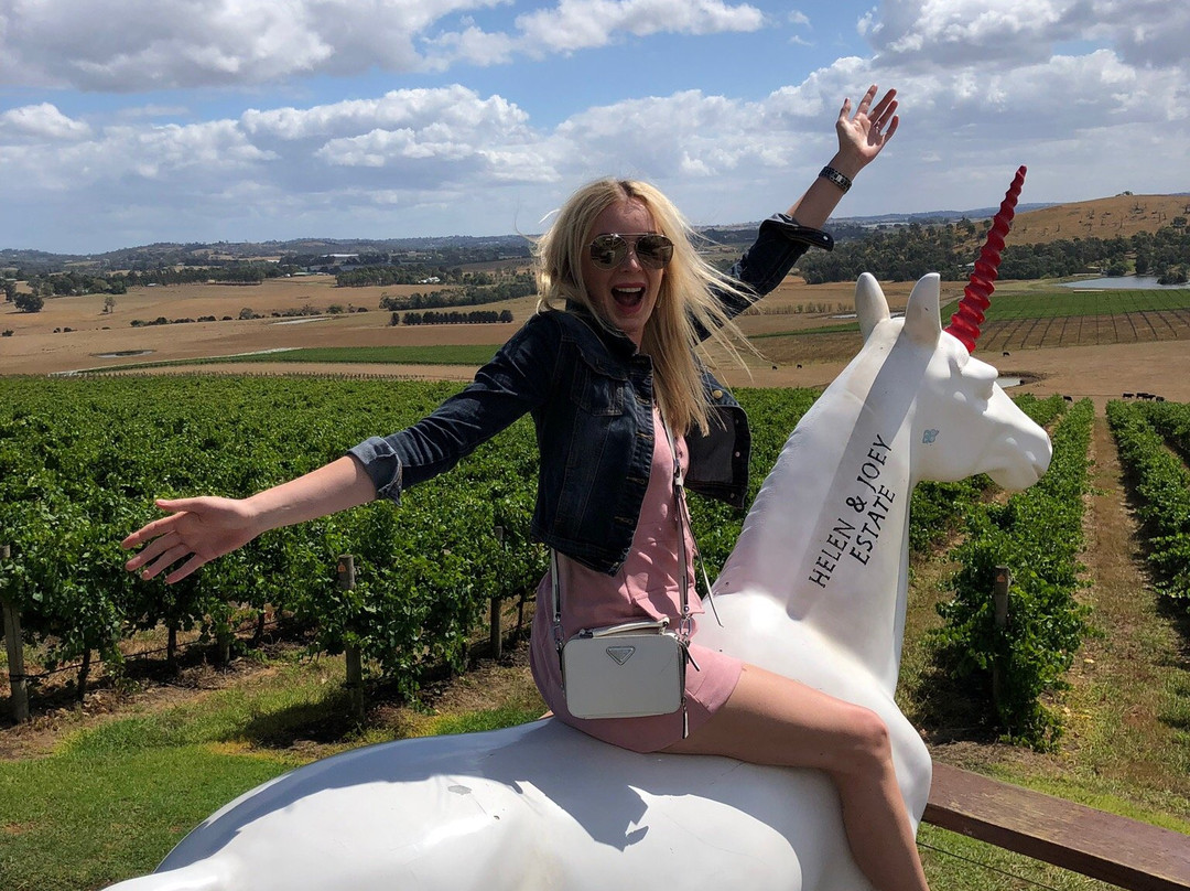 Yarra Valley Rides-希尔斯维尔必去景点