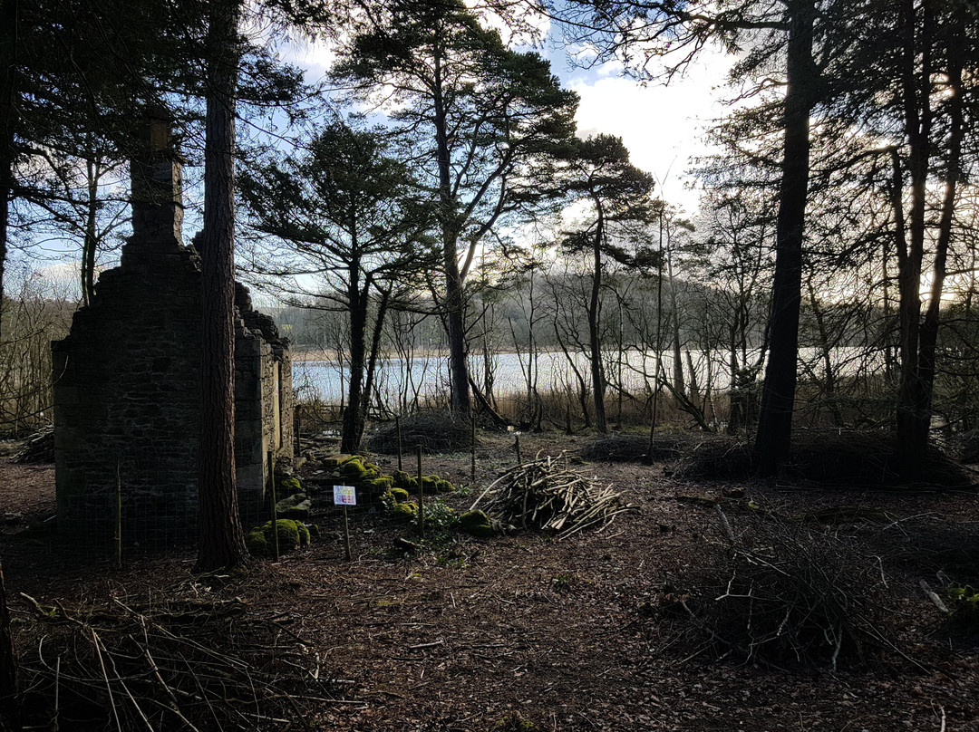 Gait Barrows National Nature Reserve景点图片