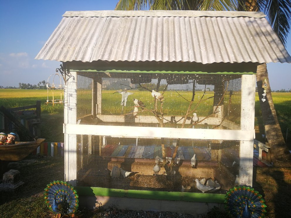 Ladang Madu Kelulut Ori DUKUN JAYA景点图片