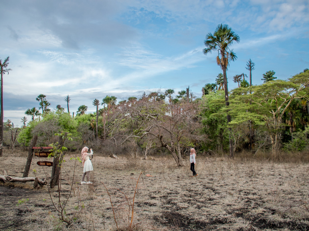 Baluran National Park景点图片