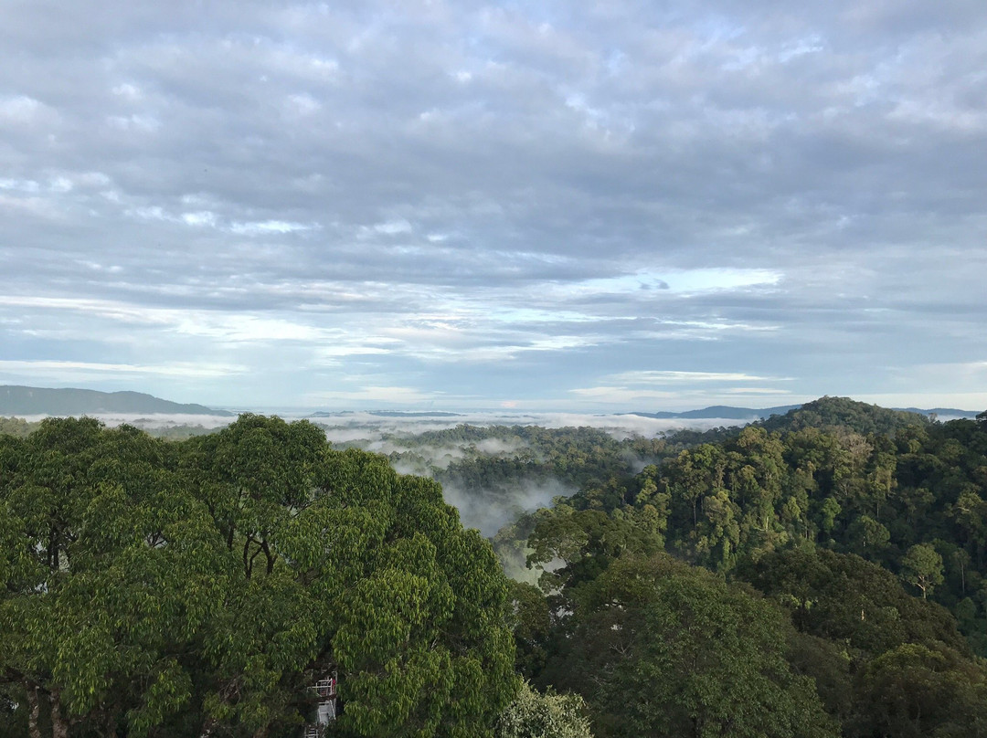 Ulu Ulu National Park Resort景点图片