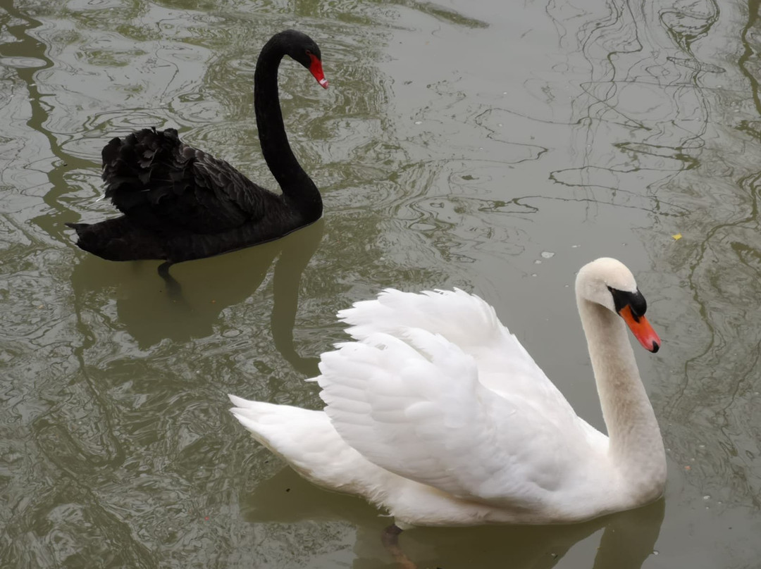 Le Moulin de Grouches主图