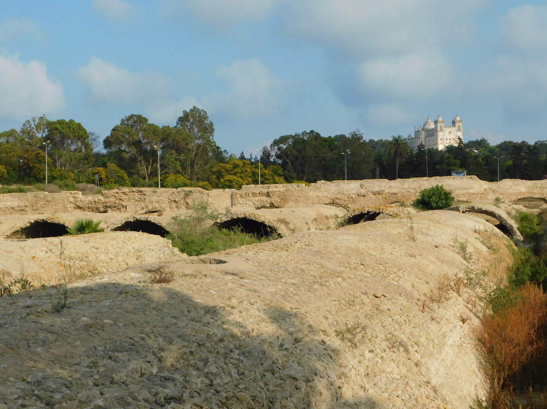 Le Lemon Tour-迦太基必去景点