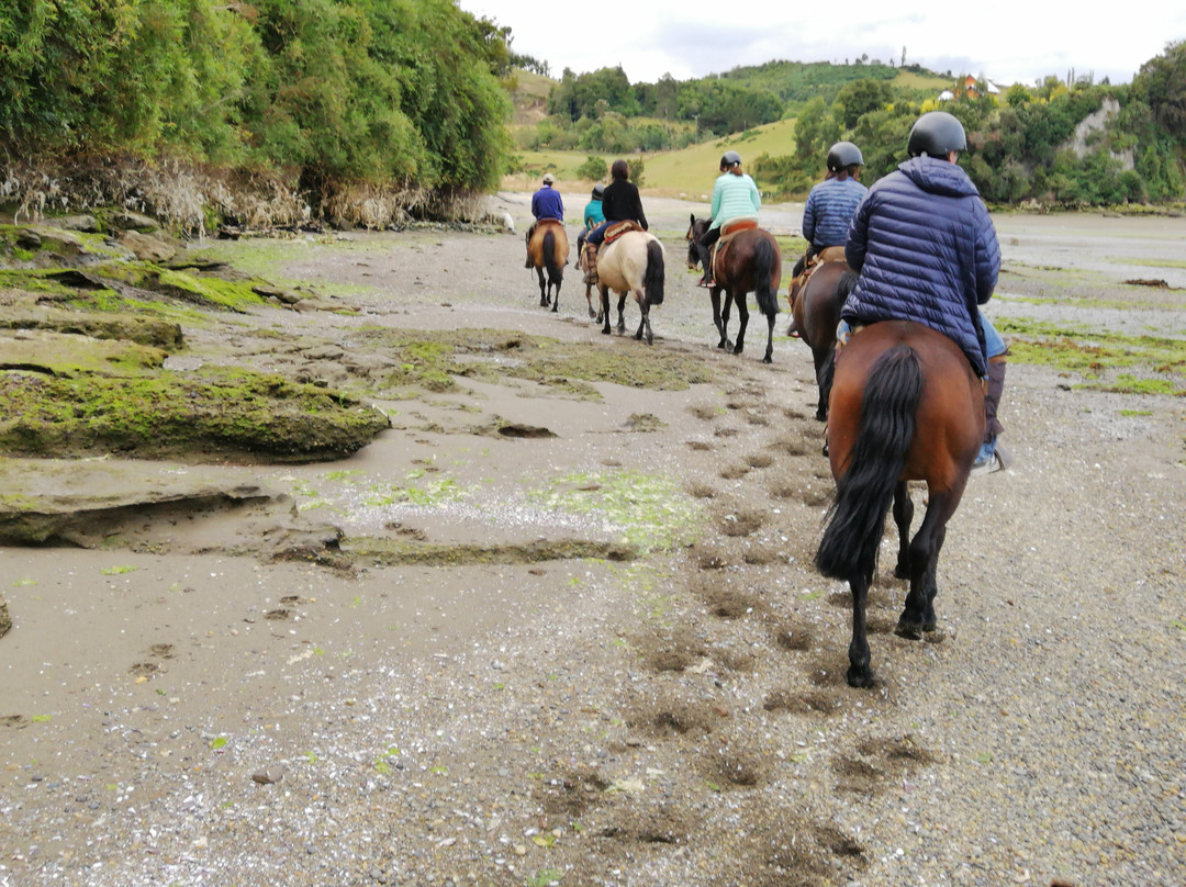 Rancho Pullao-Castro必去景点
