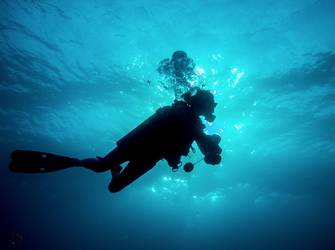 水肺迷潜水店-仙本那必去景点