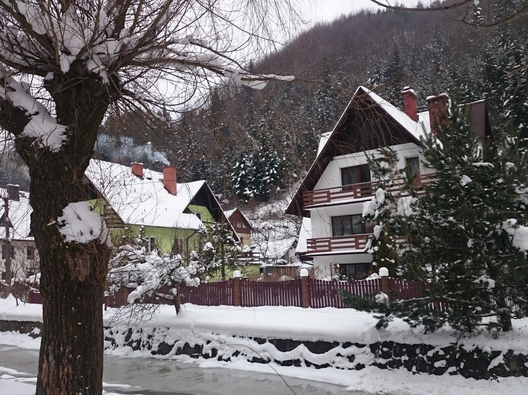 Sanatorium Uzdrowiskowe Limba主图