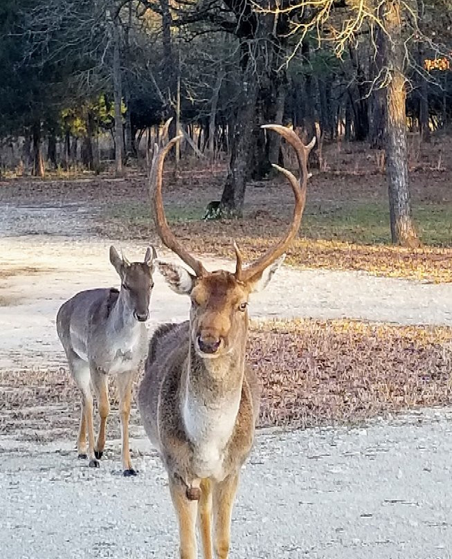 Camp Tonkawa Springs-Garrison必去景点