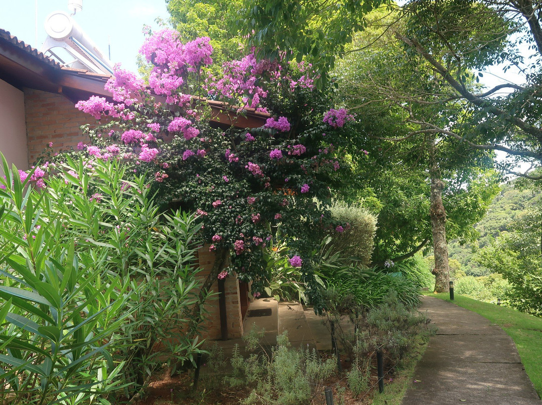 Pousada Do Cedro主图