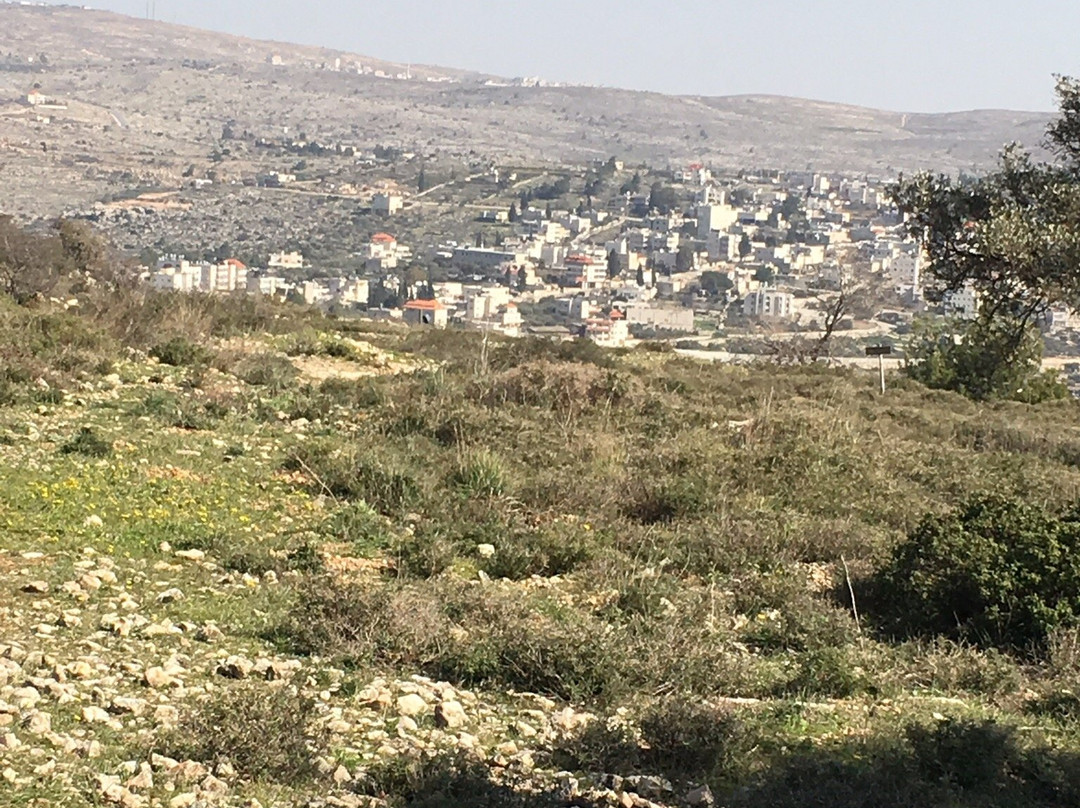 Mount Gerizim Site (Mount of Blessing)-Nablus必去景点