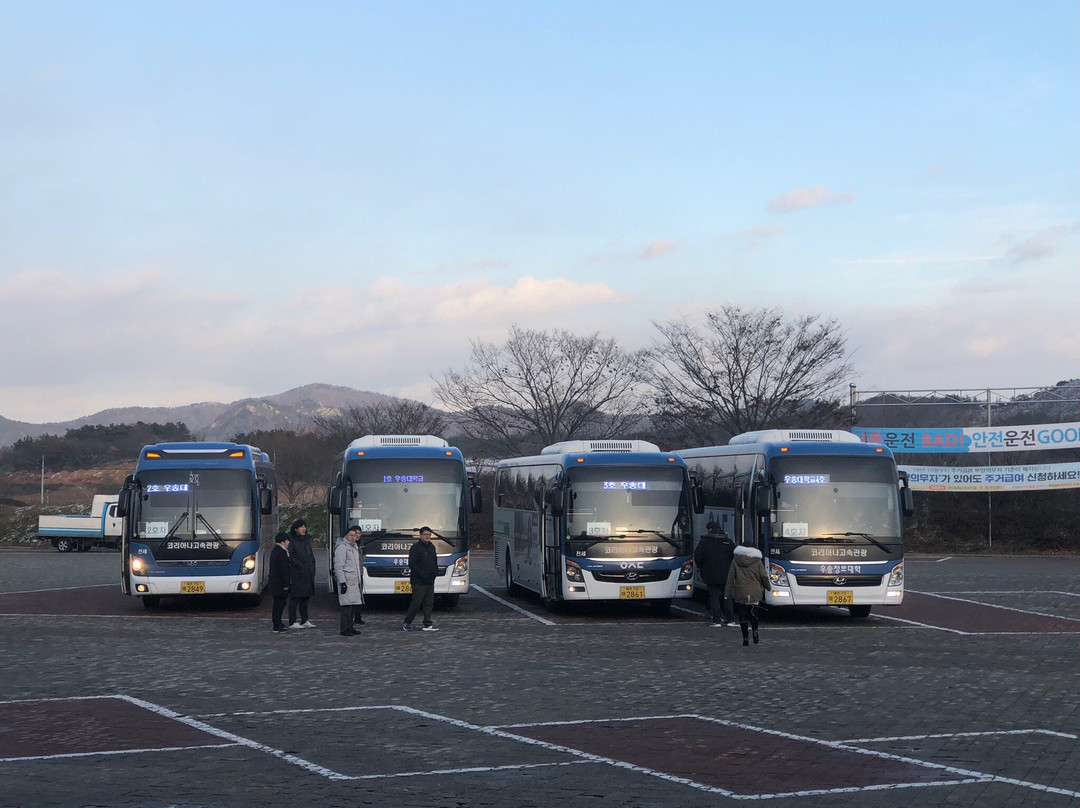 El Dorado Resort主图