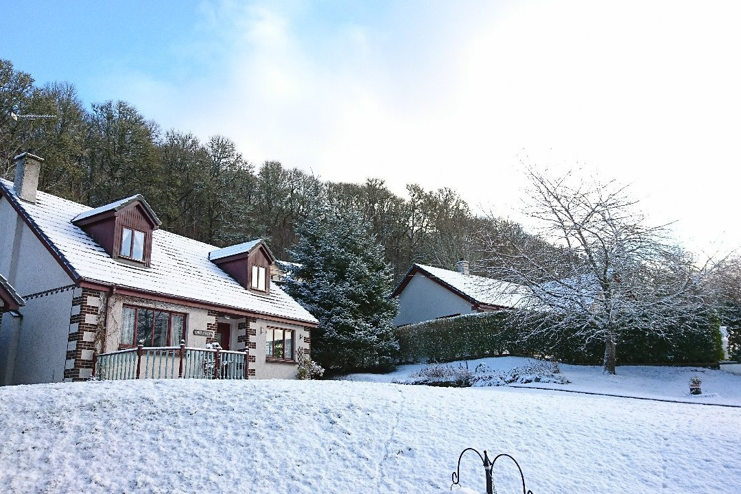 Bracarina House主图