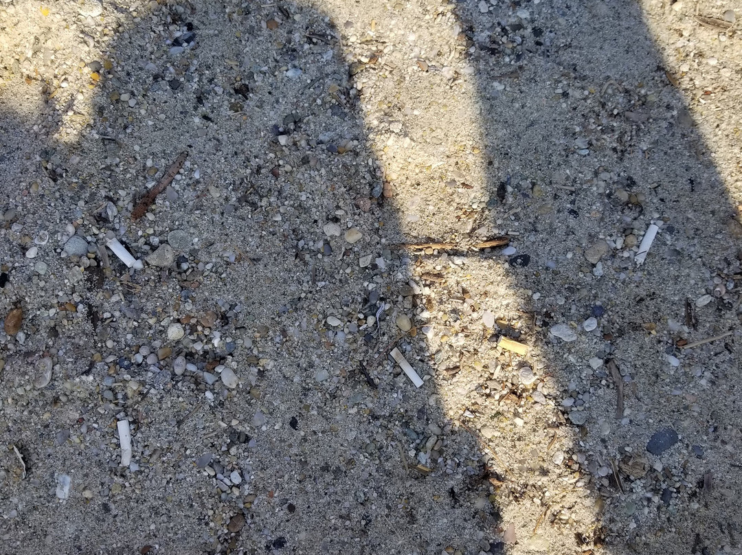 Elinotel Apolamare主图