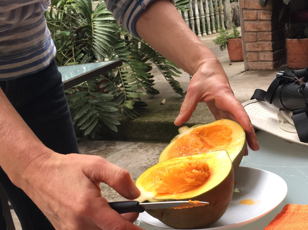 Santuario Hibiscus主图