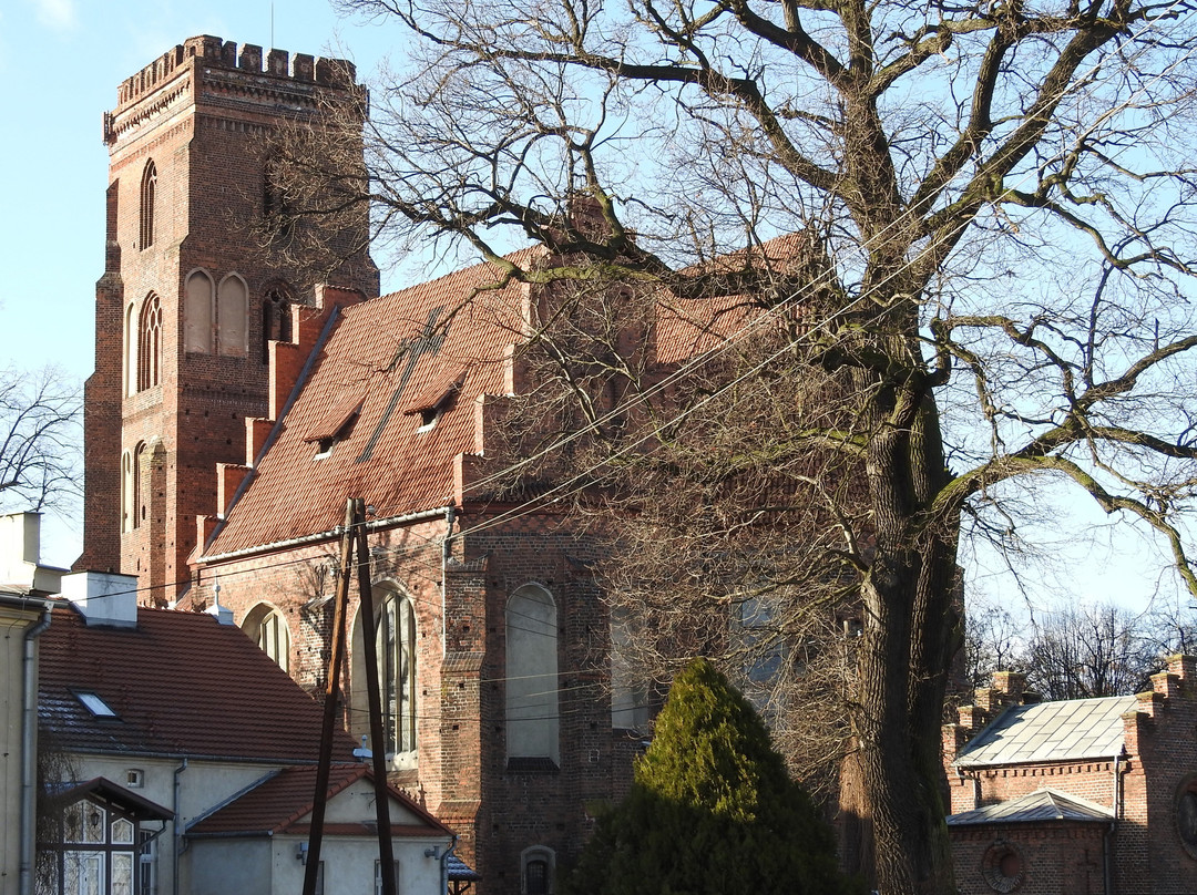 Borek Wielkopolski旅游攻略图片