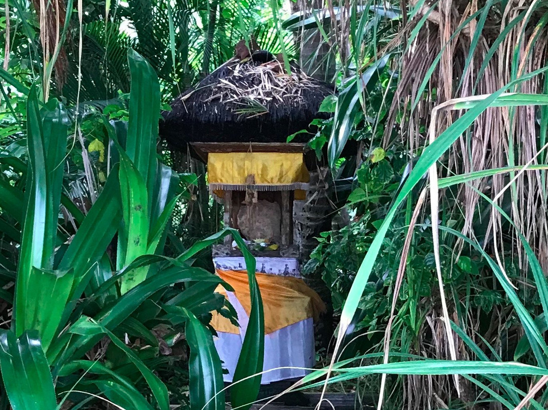 希里克斯海滩花园酒店主图