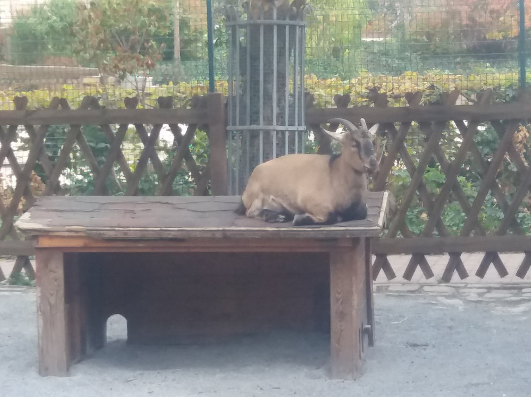 Tierpark-威滕伯格必去景点