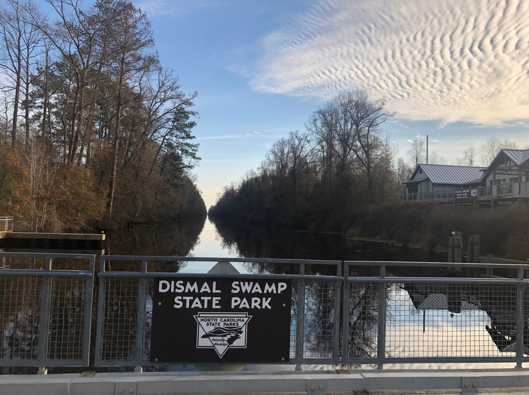 Dismal Swamp State Park景点图片