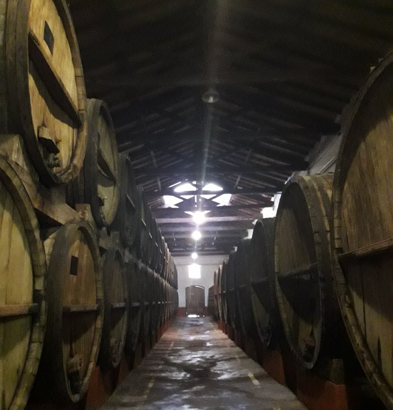 Bodega Goyenechea-圣拉斐尔必去景点