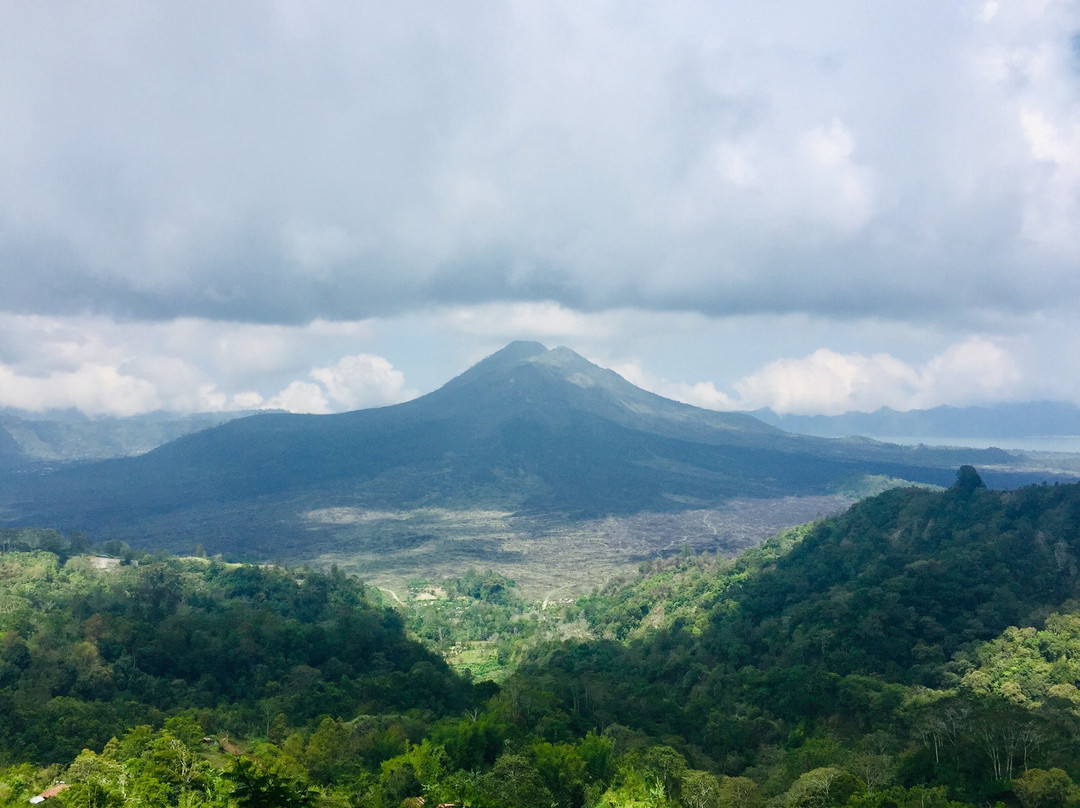 Bali Culture Tour - Private Tours-乌布必去景点