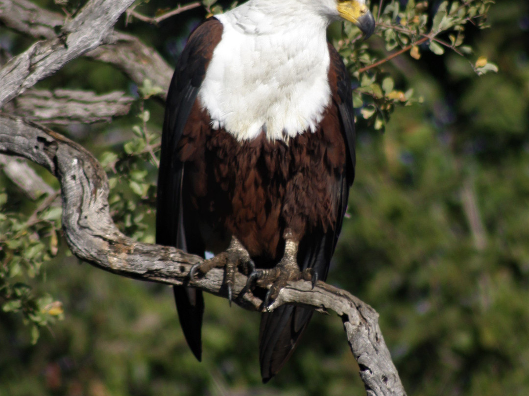 Explore Kruger Safaris-玛洛斯帕克必去景点