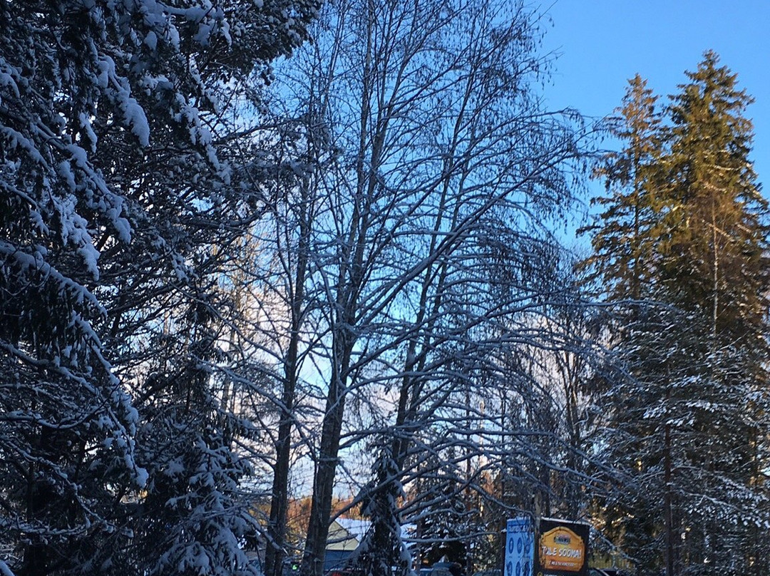 Korvemaa Sportland-Pillapalu必去景点