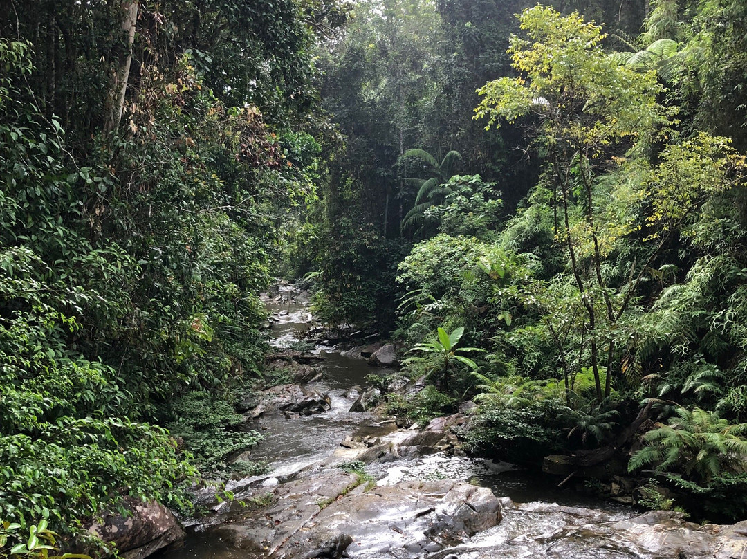 Matalangao Falls景点图片