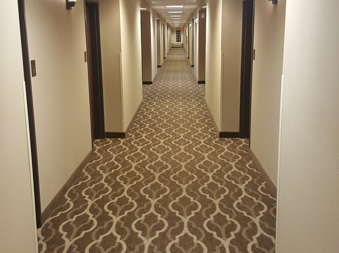 Comfort Inn & Suites Near Bethel College主图