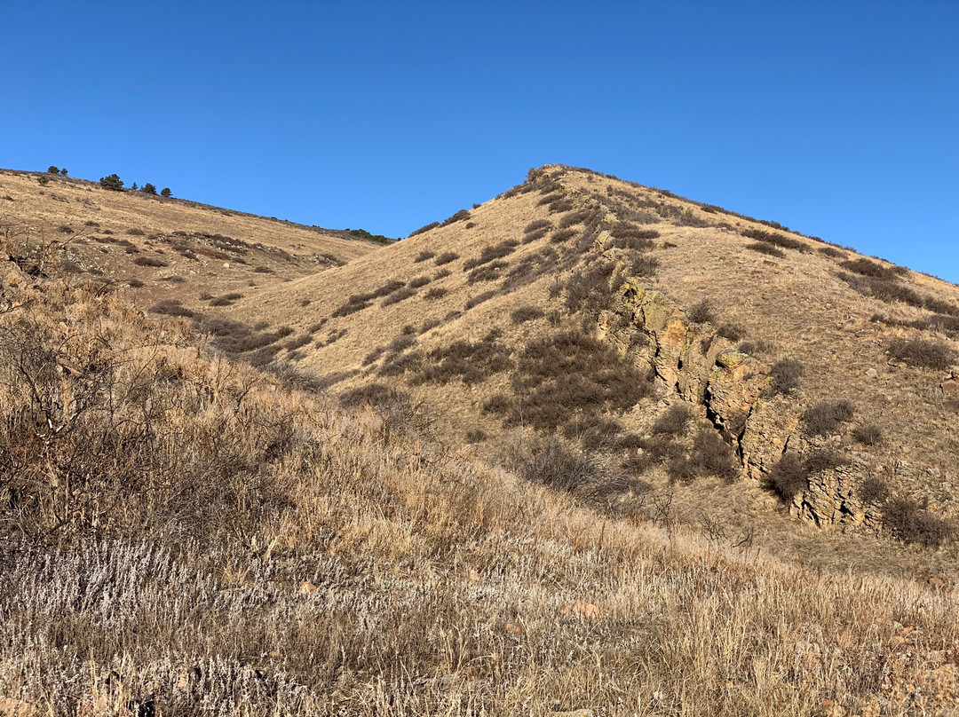 Coyote Ridge Natural Area-科林斯堡必去景点