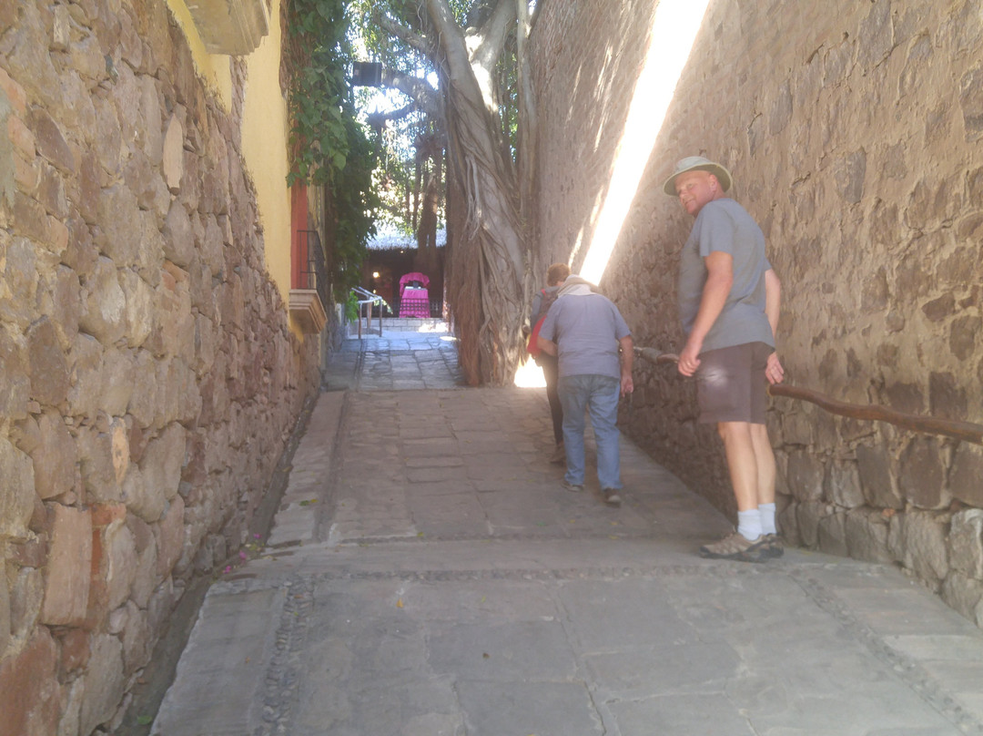 Hotel Posada del Hidalgo主图