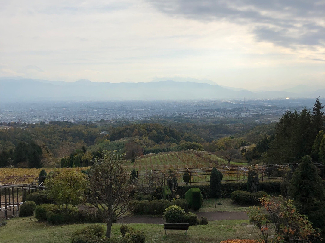 Suntory Tominooka Winery景点图片