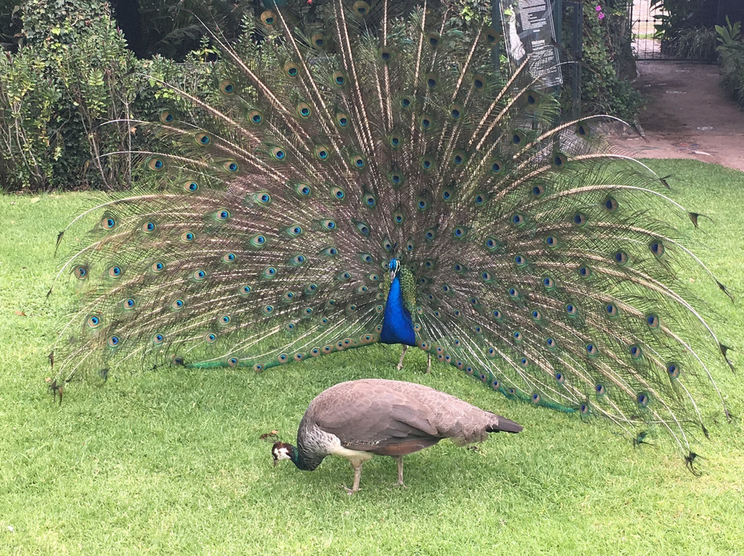 La Mirage Garden Hotel & Spa主图