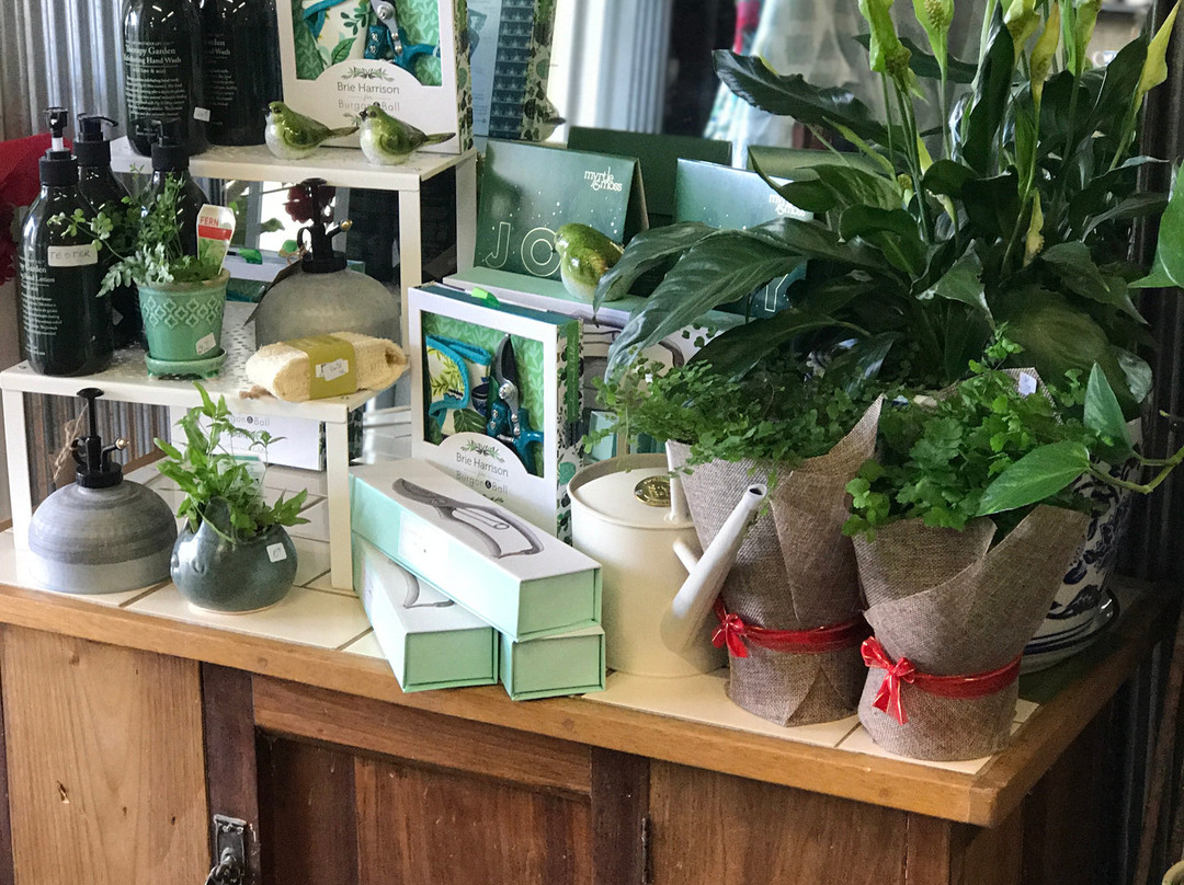 Botanica Romantica-Harden-Murrumburrah必去景点